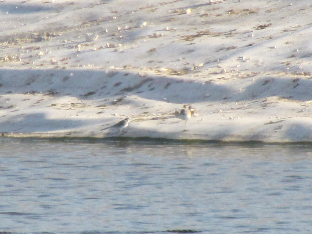 נחליאלי ב"מ--20/09/2025-מיצר-דוד פורת